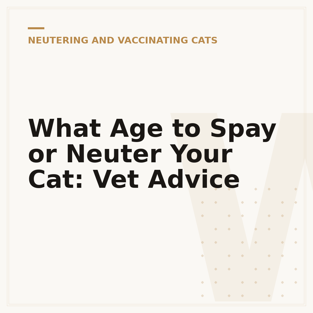 What Age to Spay or Neuter Your Cat: Vet Advice