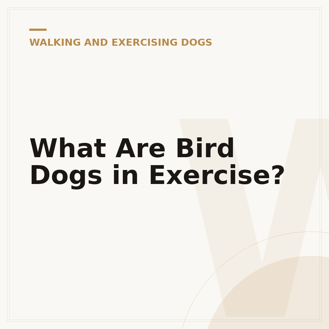 What Are Bird Dogs in Exercise?