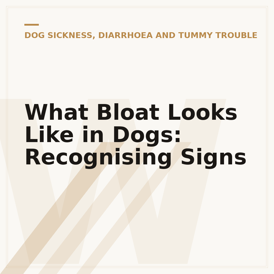 What Bloat Looks Like in Dogs: Recognising Signs