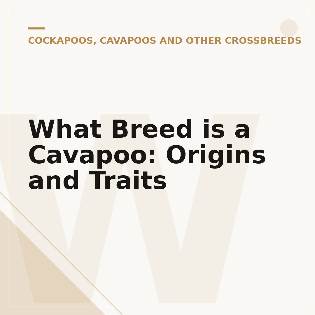 What Breed is a Cavapoo: Origins and Traits