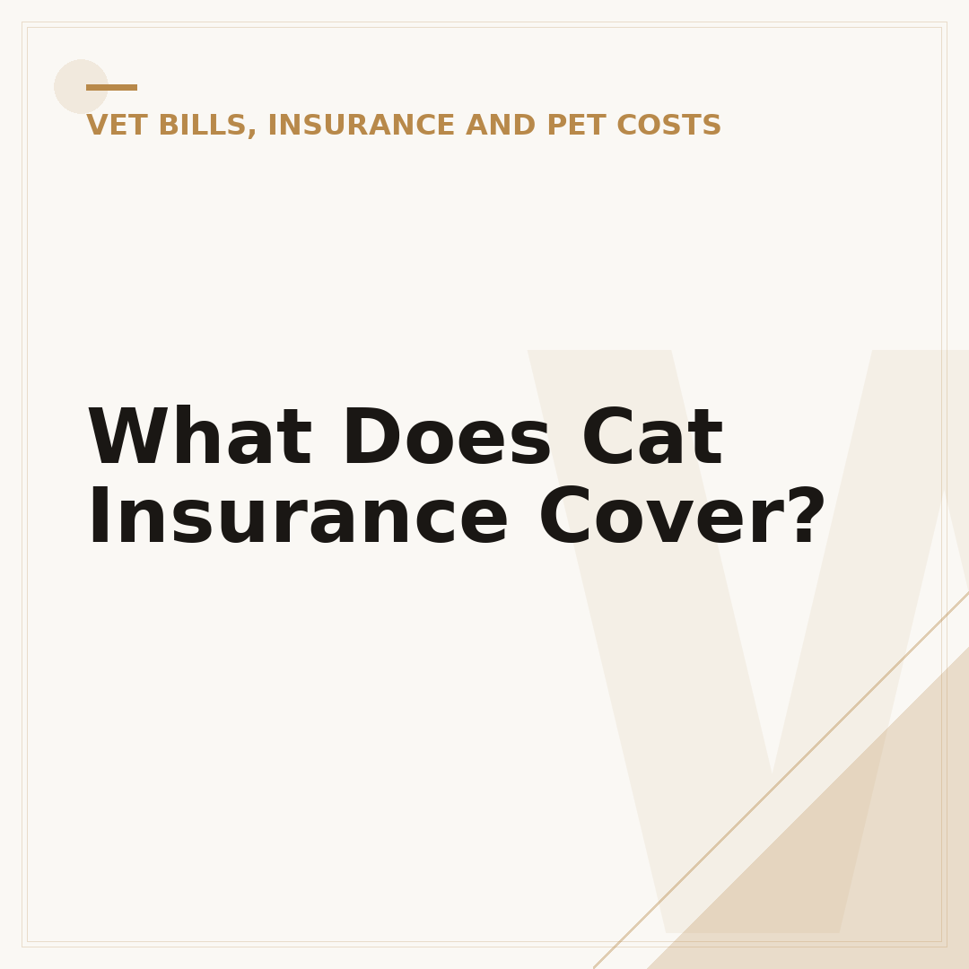 What Does Cat Insurance Cover?