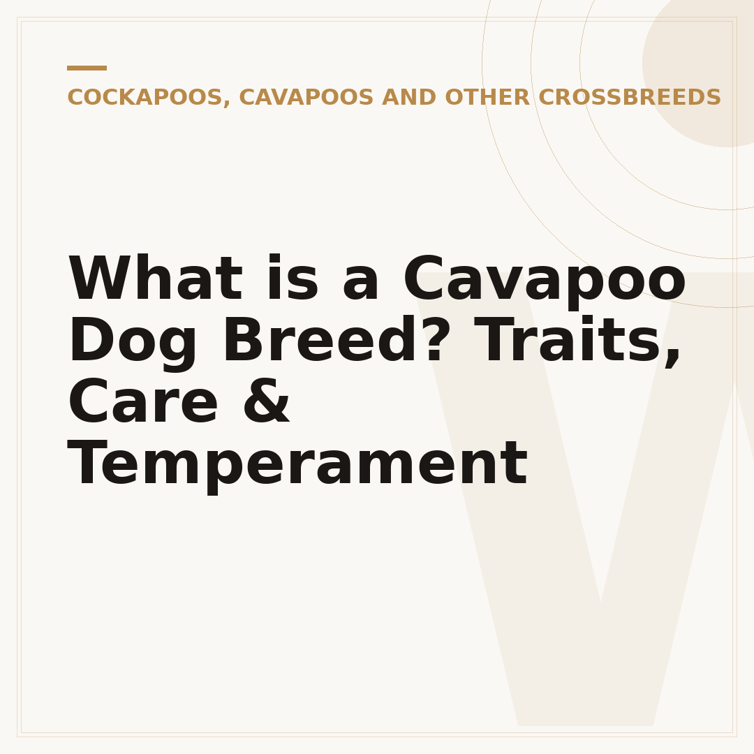 What is a Cavapoo Dog Breed? Traits, Care & Temperament