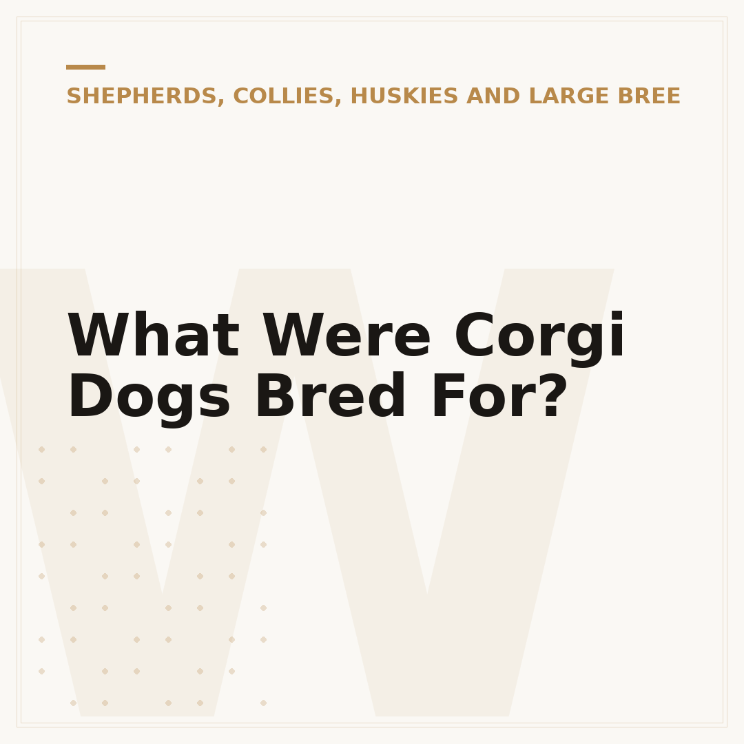 What Were Corgi Dogs Bred For?