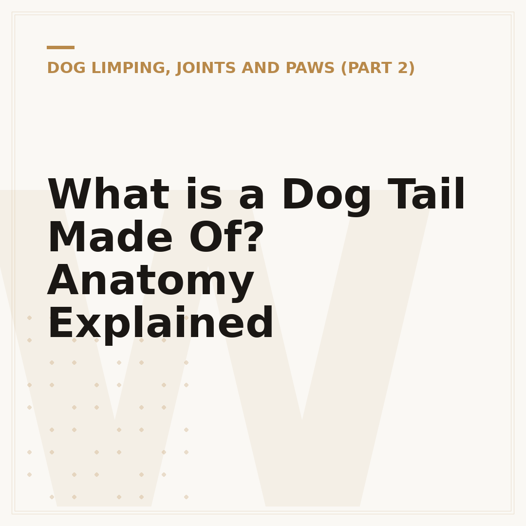 What is a Dog Tail Made Of? Anatomy Explained