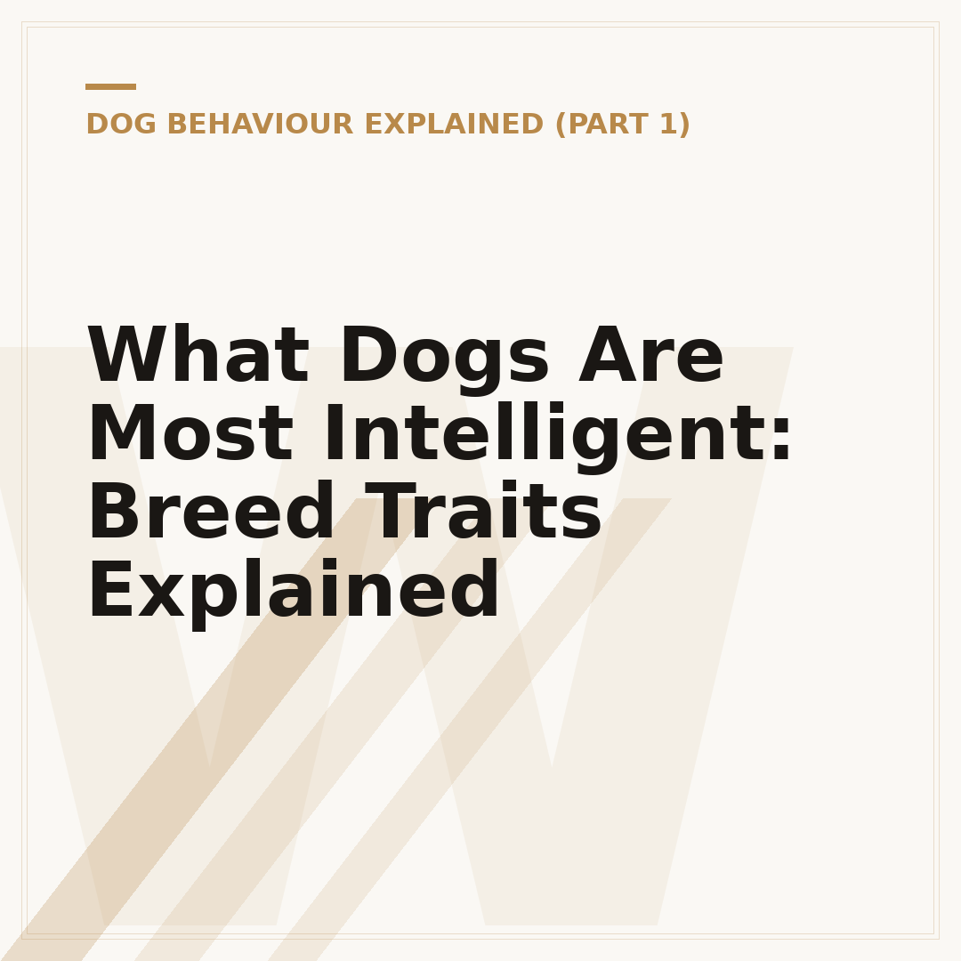 What Dogs Are Most Intelligent: Breed Traits Explained