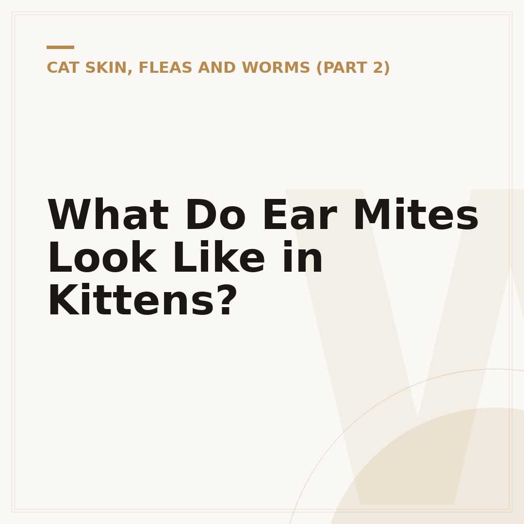 What Do Ear Mites Look Like in Kittens?