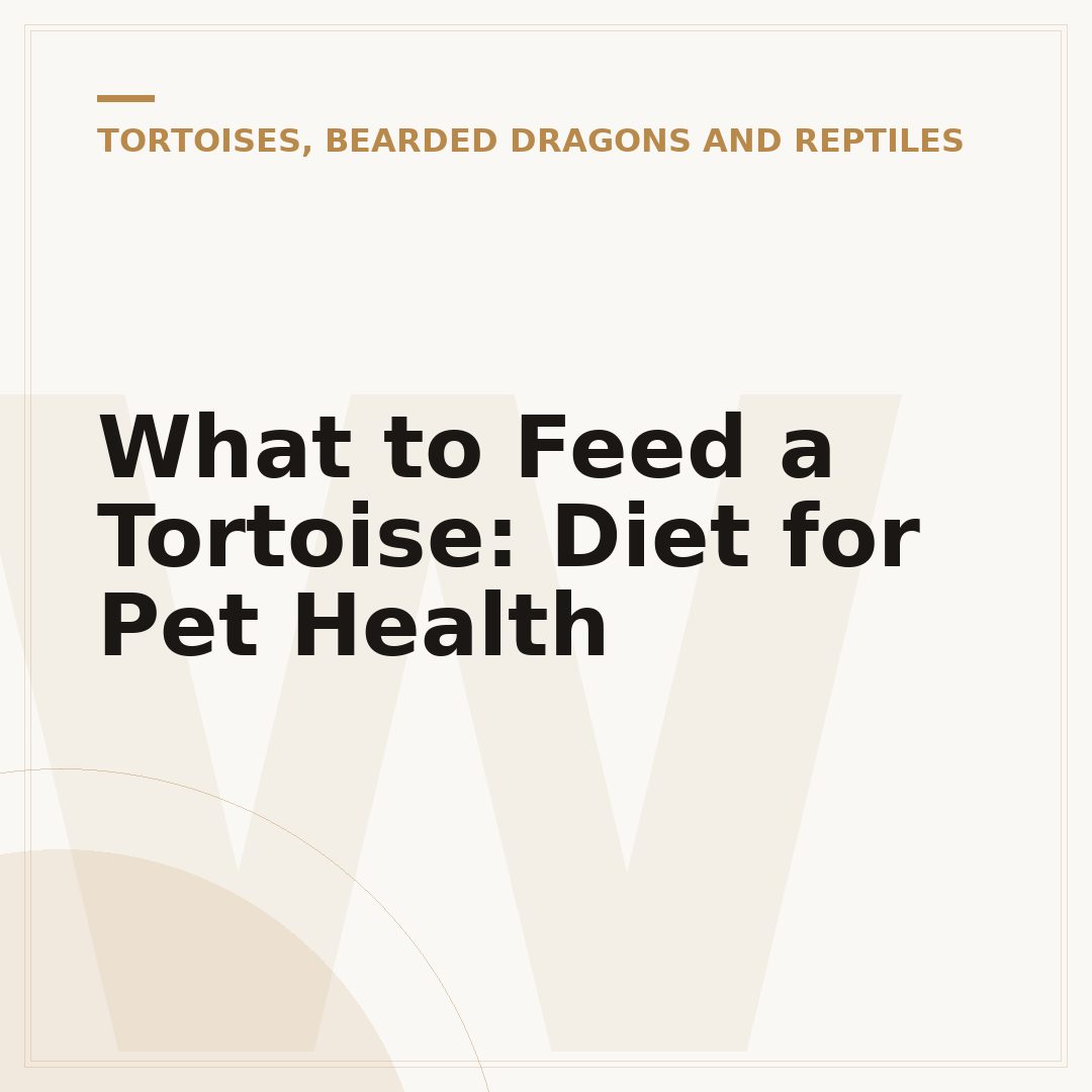 What to Feed a Tortoise: Diet for Pet Health