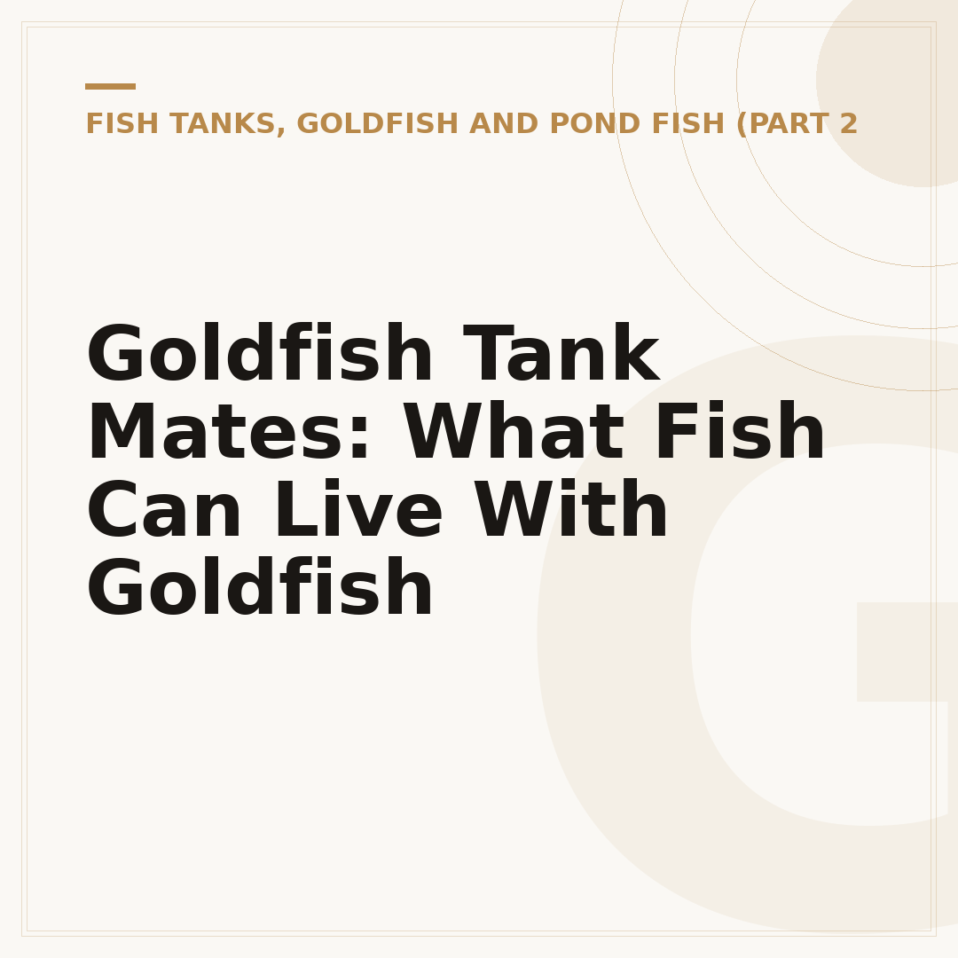 Goldfish Tank Mates: What Fish Can Live With Goldfish
