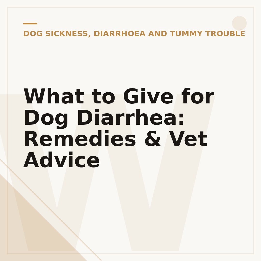 What to Give for Dog Diarrhea: Remedies & Vet Advice