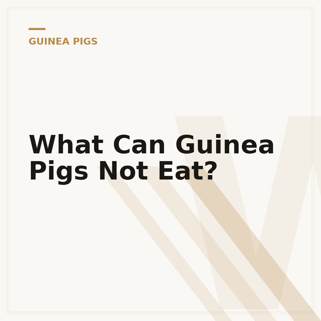 What Can Guinea Pigs Not Eat?