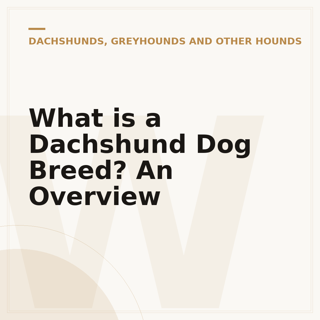 What is a Dachshund Dog Breed? An Overview