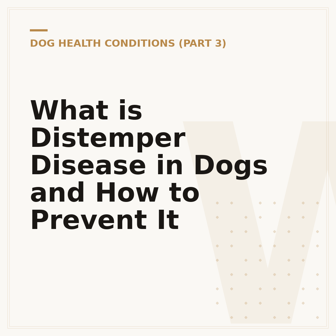 What is Distemper Disease in Dogs and How to Prevent It