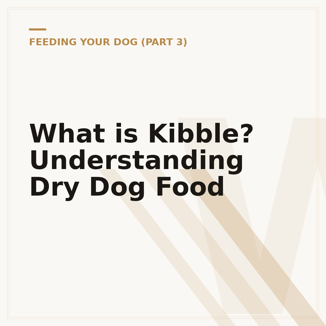 What is Kibble? Understanding Dry Dog Food