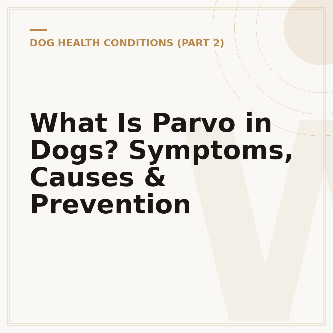 What Is Parvo in Dogs? Symptoms, Causes & Prevention