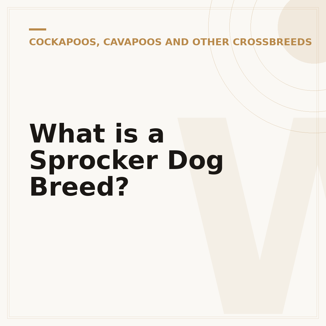What is a Sprocker Dog Breed?