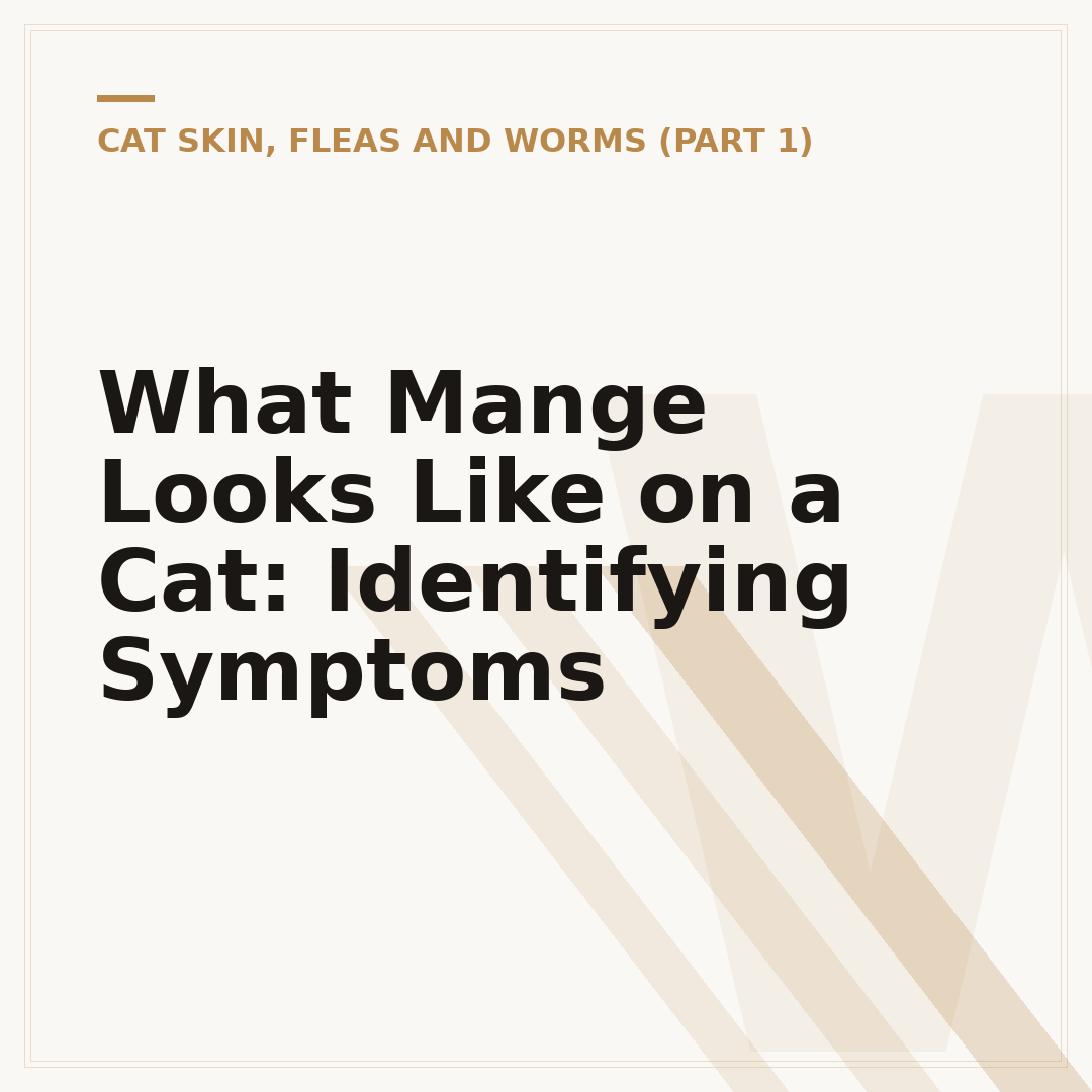 What Mange Looks Like on a Cat: Identifying Symptoms