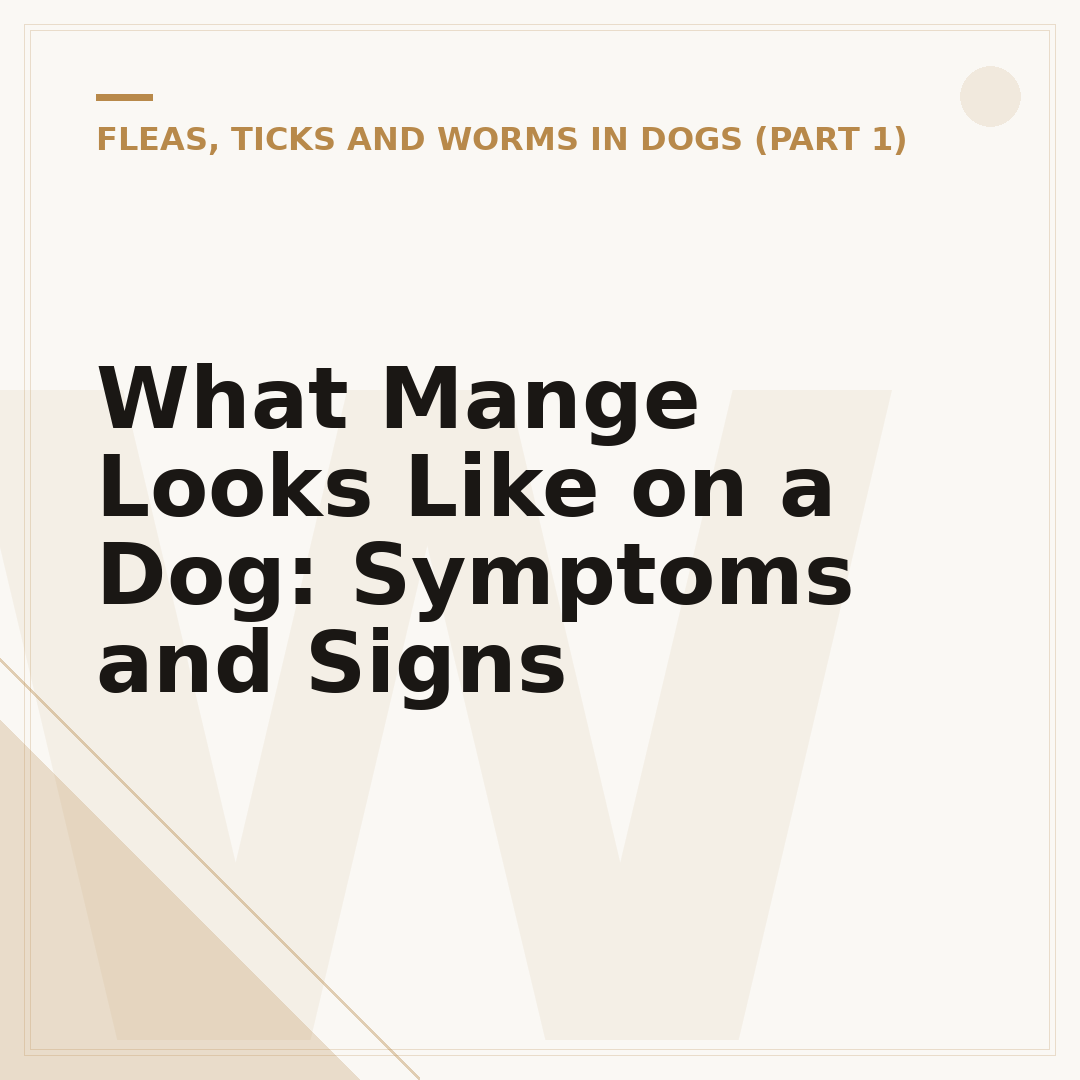 What Mange Looks Like on a Dog: Symptoms and Signs