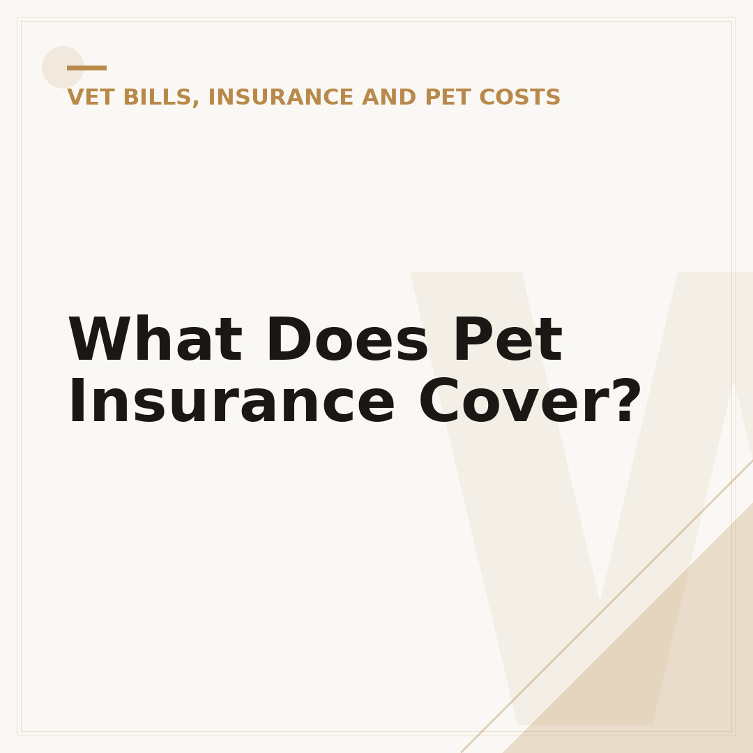 What Does Pet Insurance Cover?