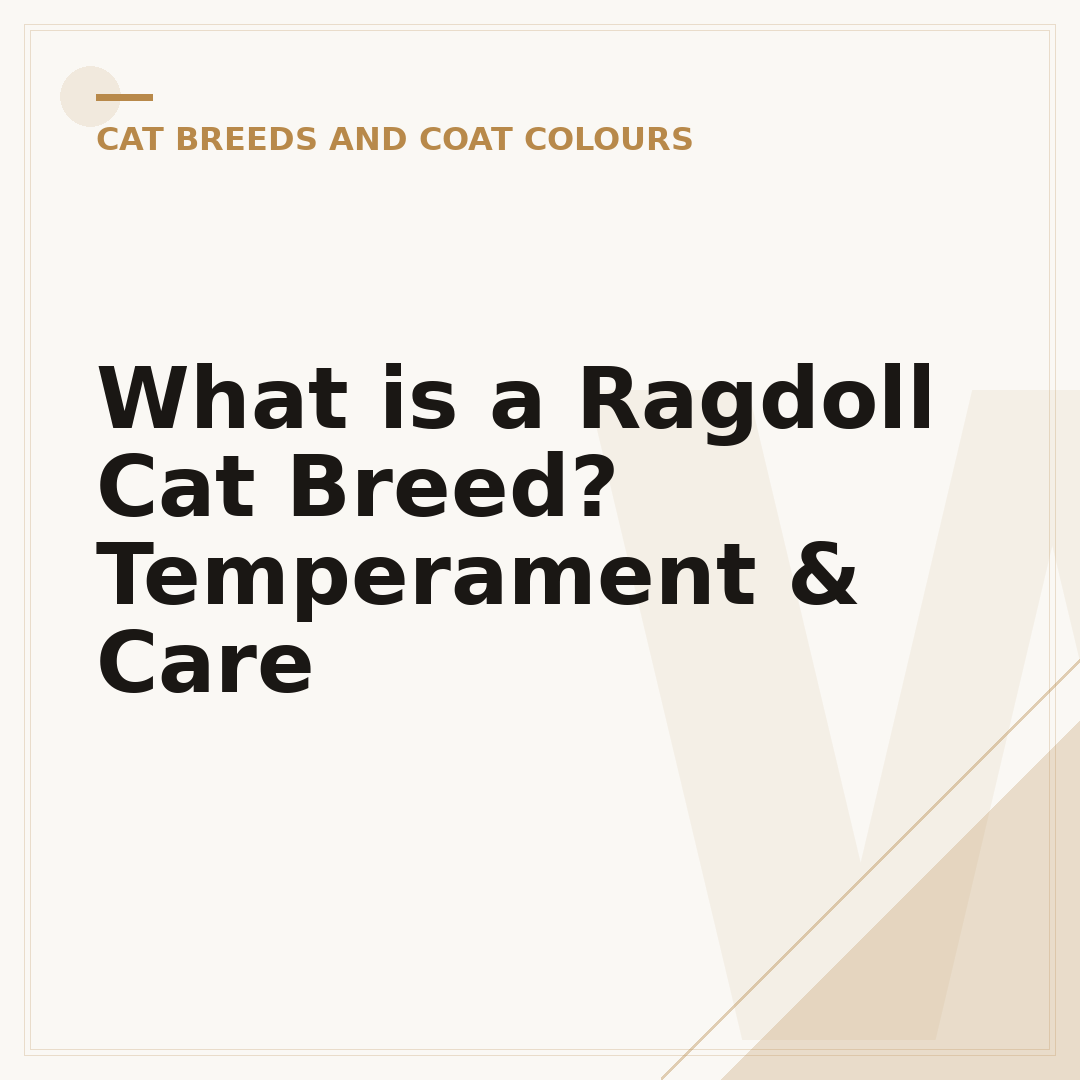 What is a Ragdoll Cat Breed? Temperament & Care