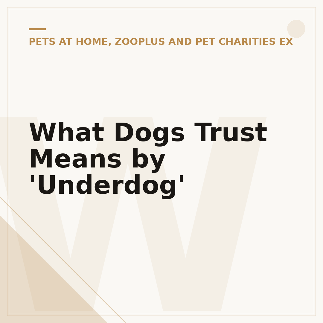 What Dogs Trust Means by 'Underdog'