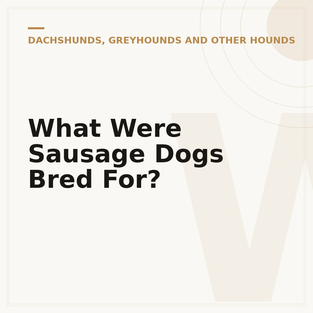 What Were Sausage Dogs Bred For?