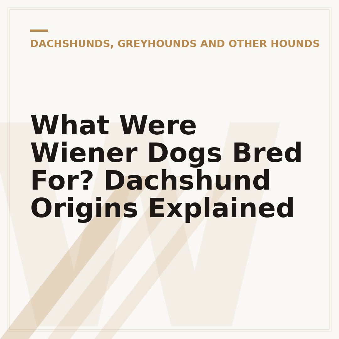 What Were Wiener Dogs Bred For? Dachshund Origins Explained