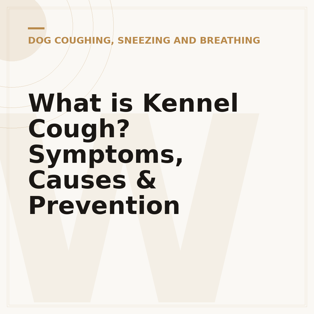 What is Kennel Cough? Symptoms, Causes & Prevention