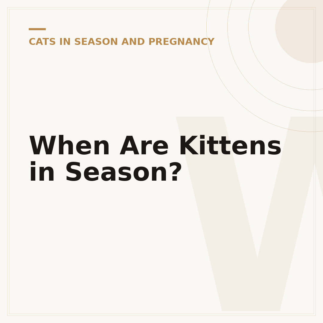 When Are Kittens in Season?