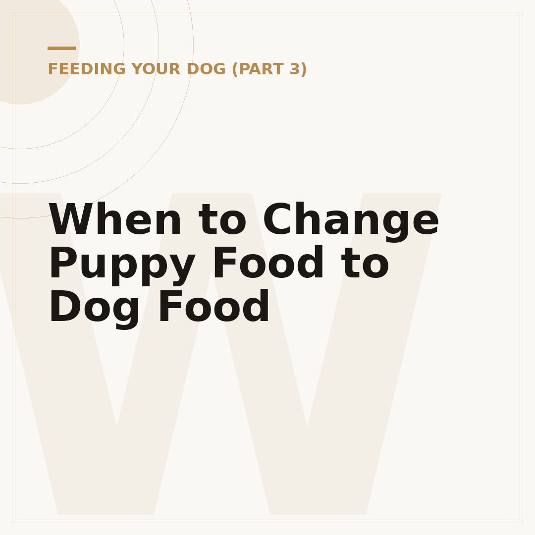 When to Change Puppy Food to Dog Food