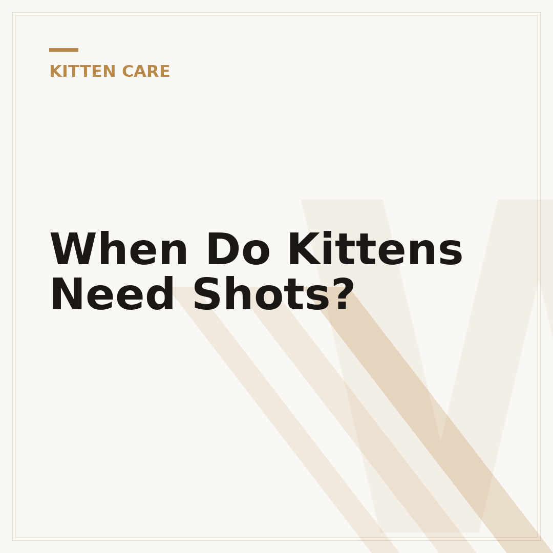 When Do Kittens Need Shots?