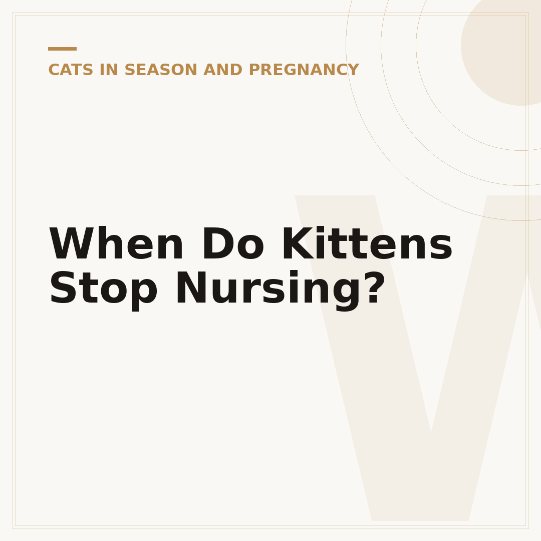 When Do Kittens Stop Nursing?