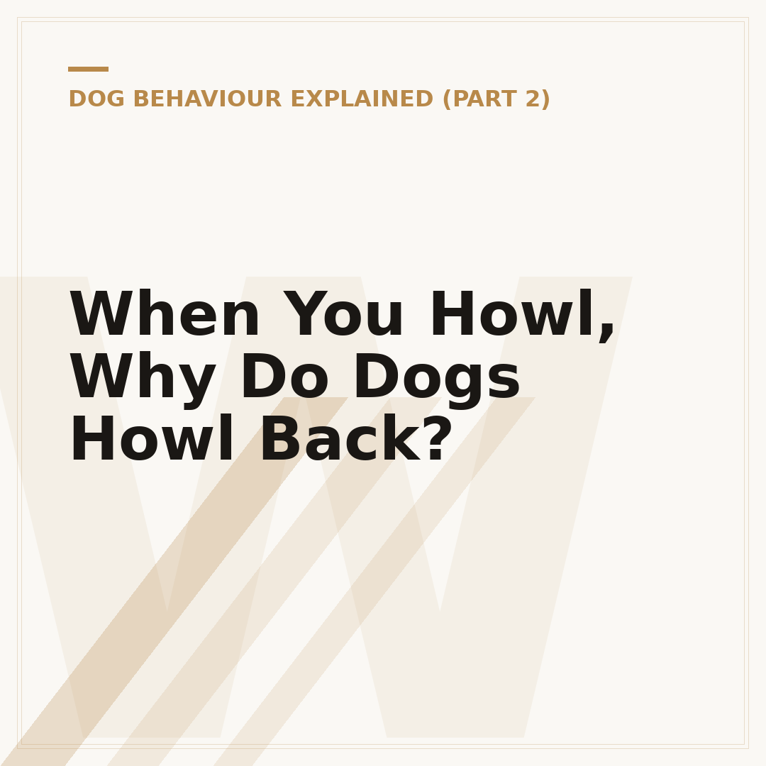 When You Howl, Why Do Dogs Howl Back?