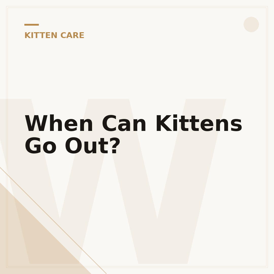 When Can Kittens Go Out?