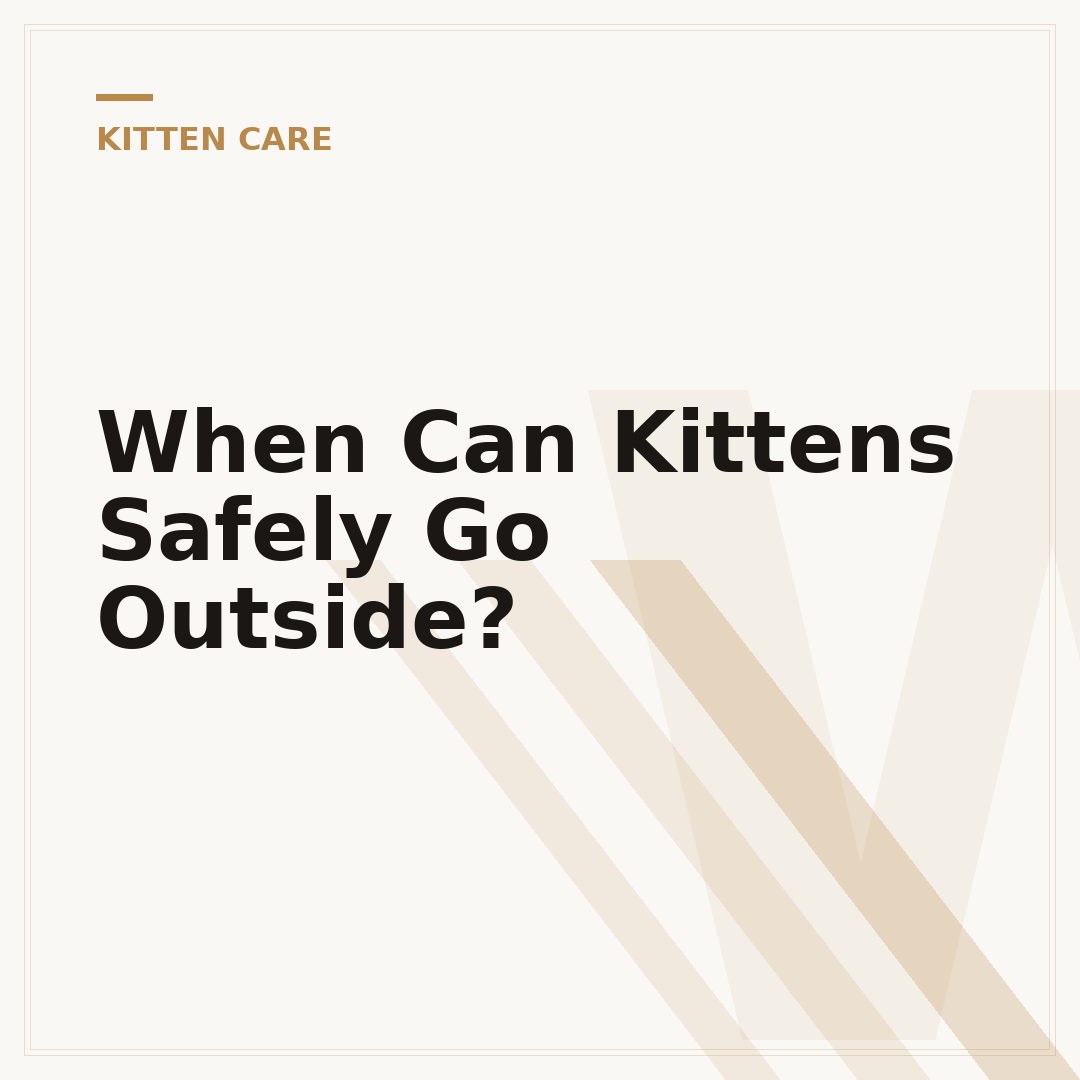 When Can Kittens Safely Go Outside?