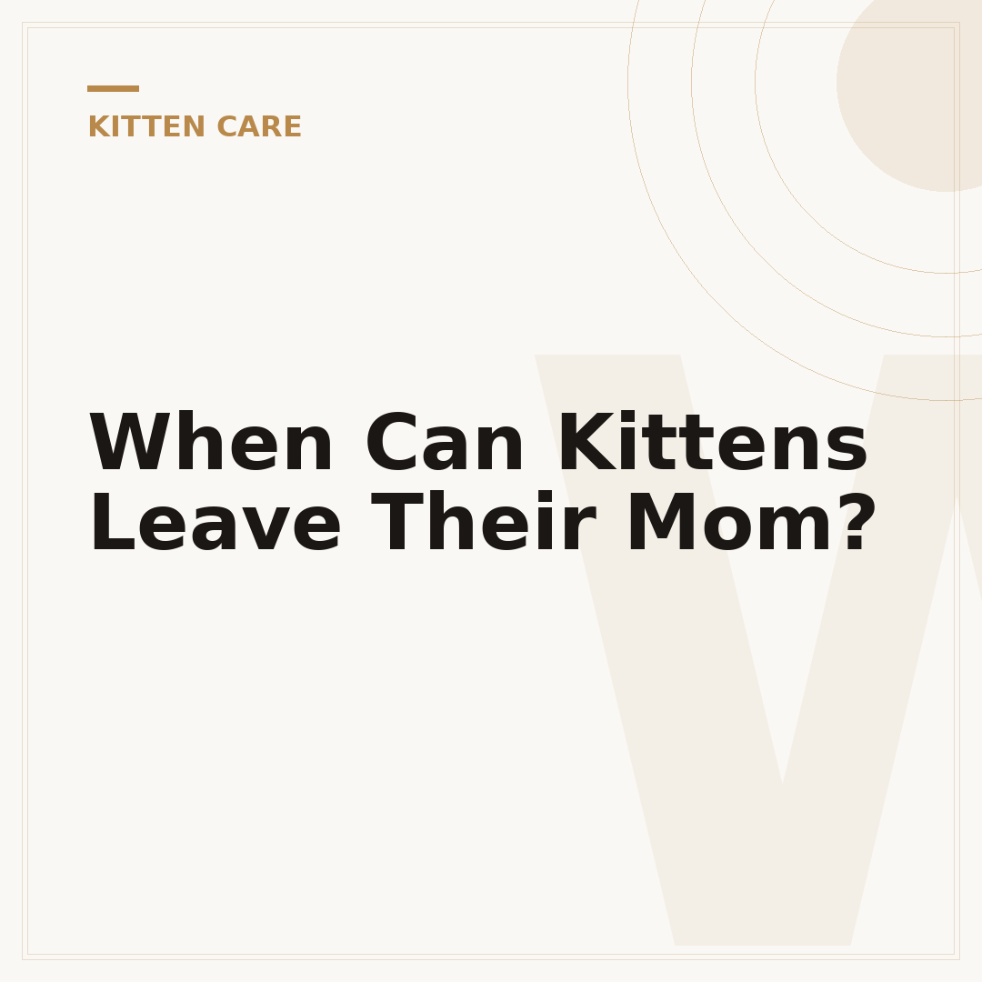 When Can Kittens Leave Their Mom?