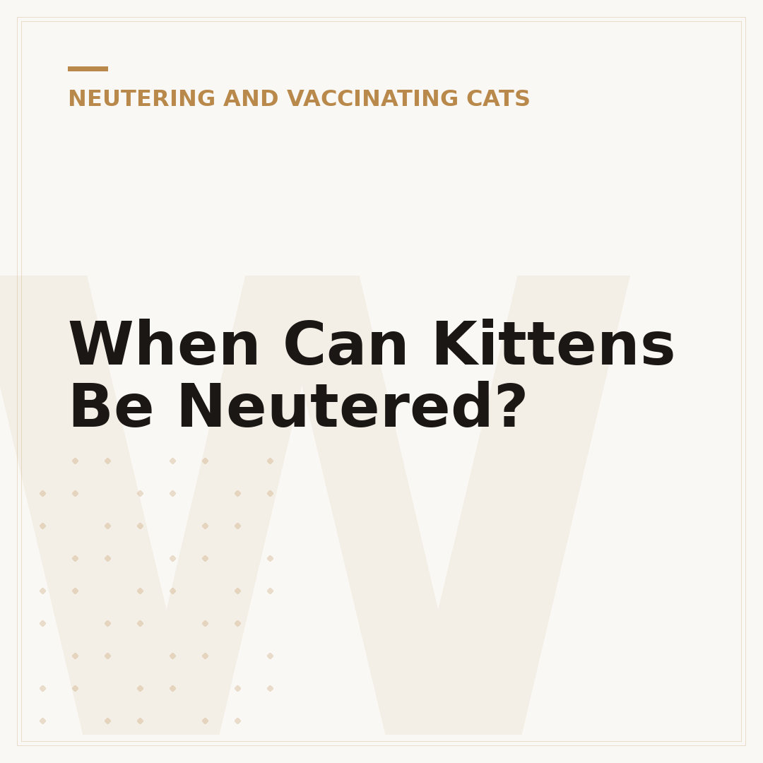 When Can Kittens Be Neutered?