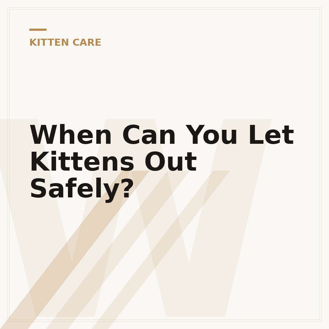 When Can You Let Kittens Out Safely?