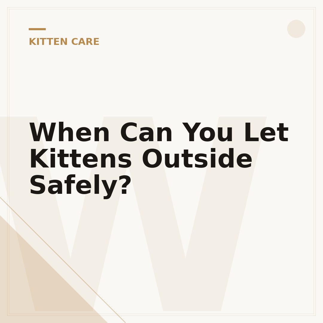 When Can You Let Kittens Outside Safely?