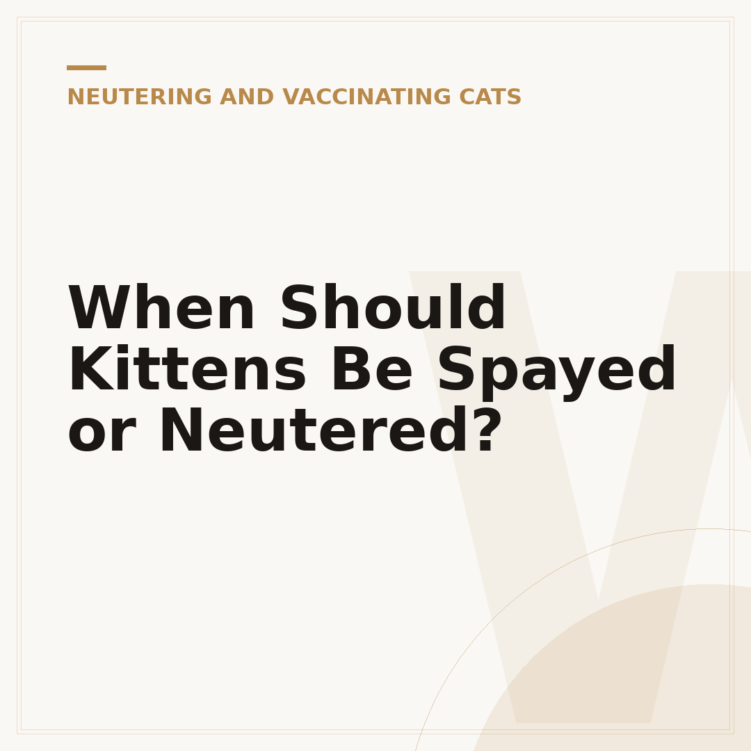 When Should Kittens Be Spayed or Neutered?
