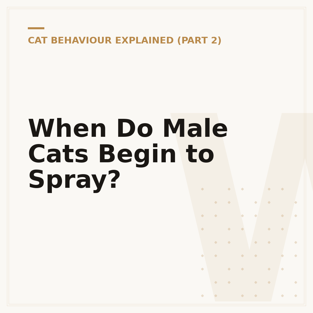 When Do Male Cats Begin to Spray?