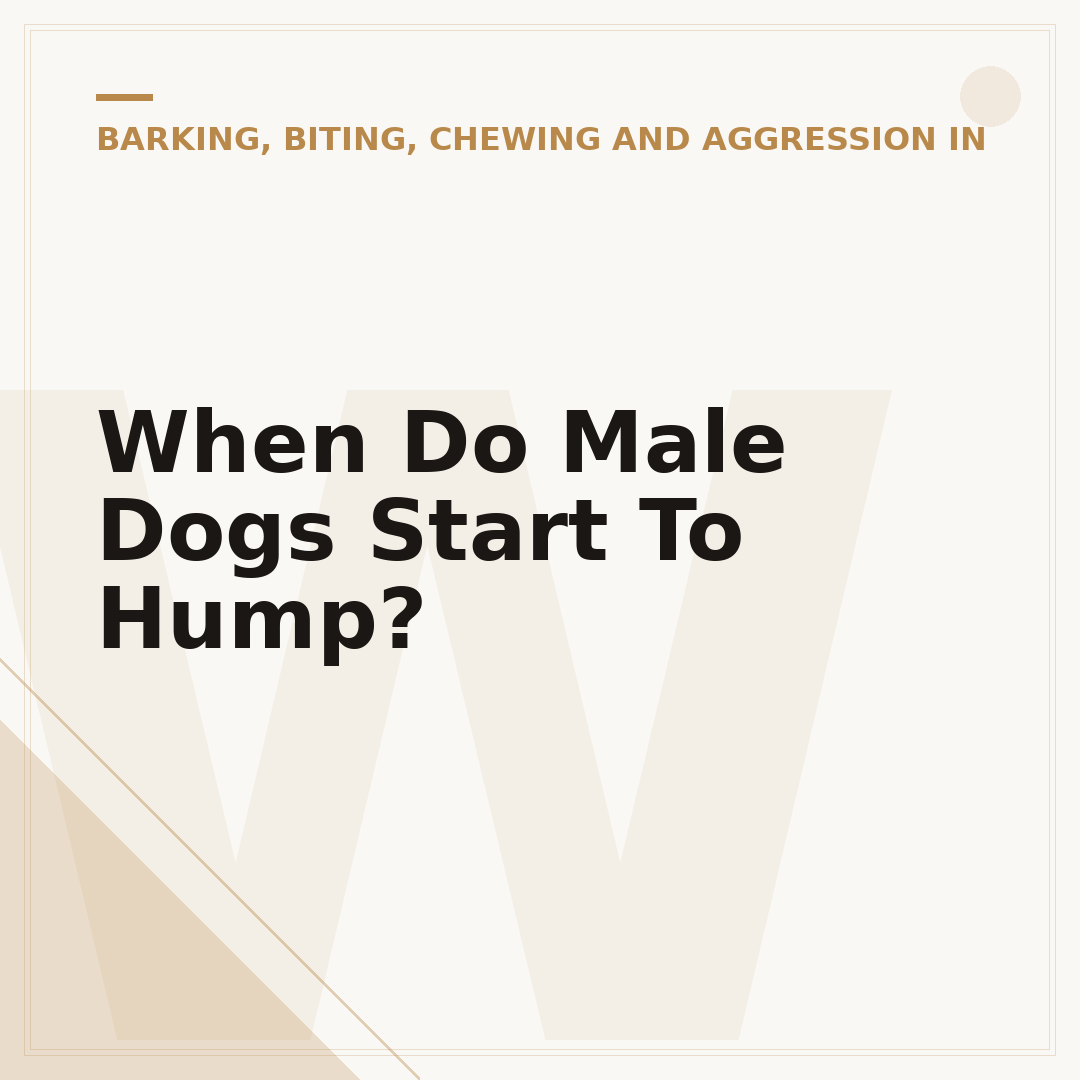 When Do Male Dogs Start To Hump?