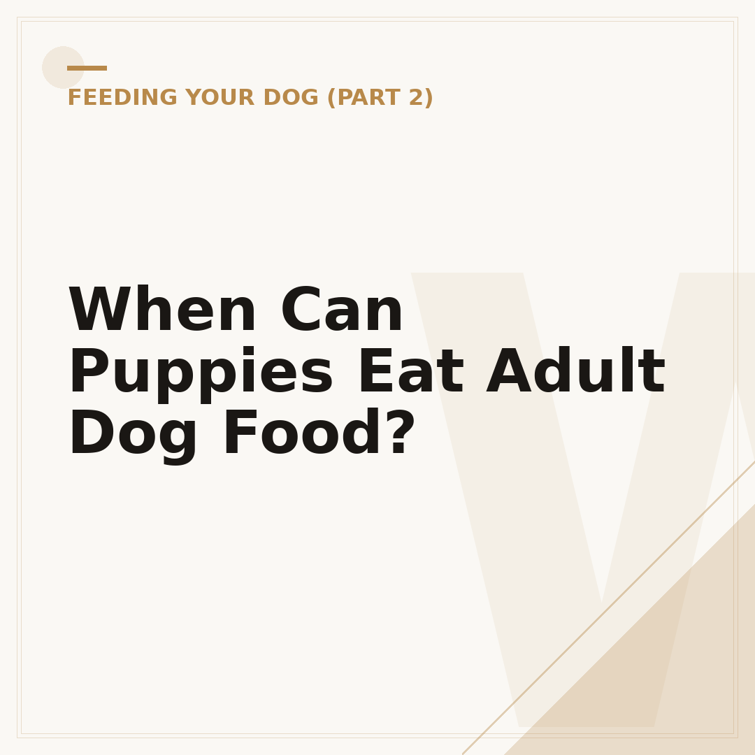 When Can Puppies Eat Adult Dog Food?