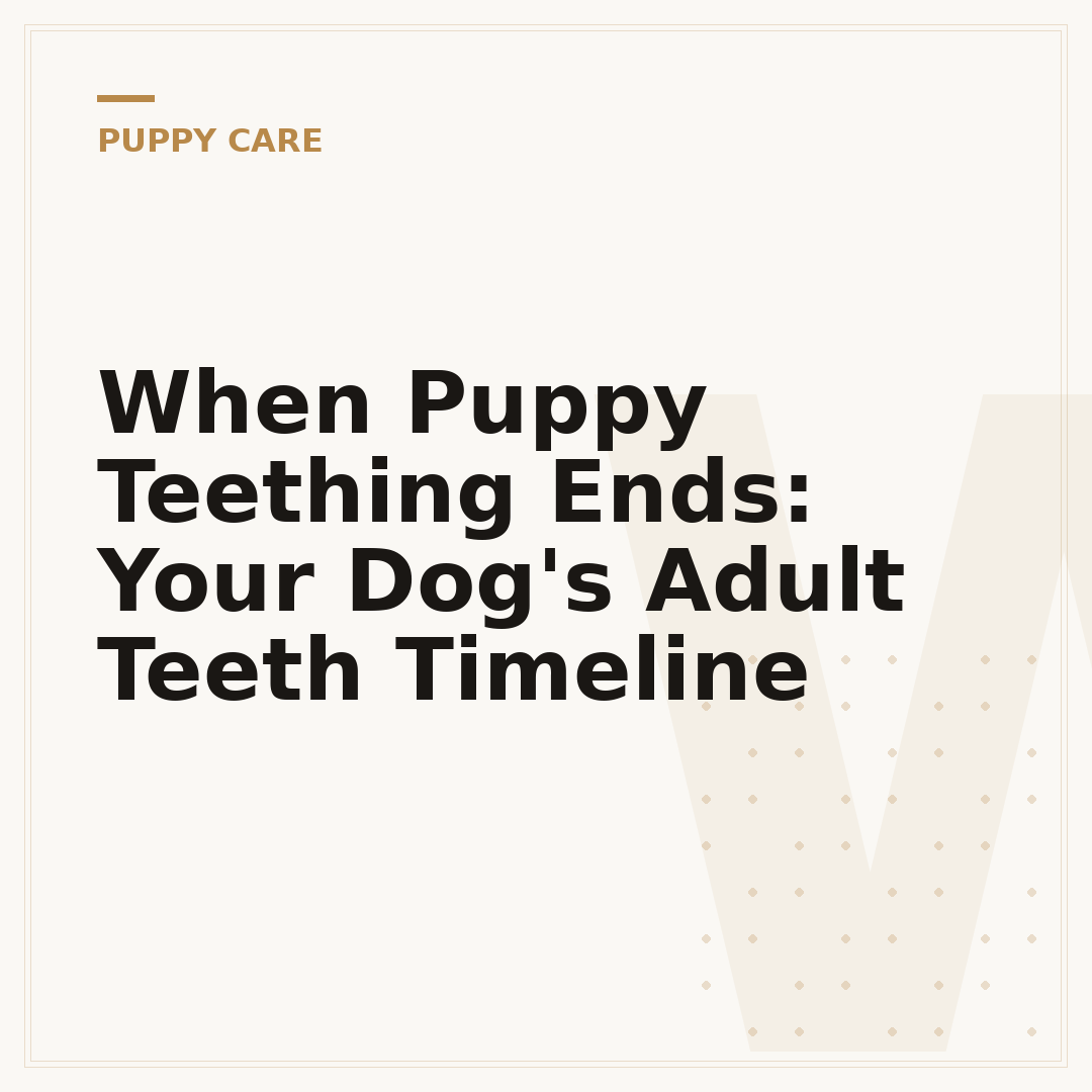 When Puppy Teething Ends: Your Dog's Adult Teeth Timeline