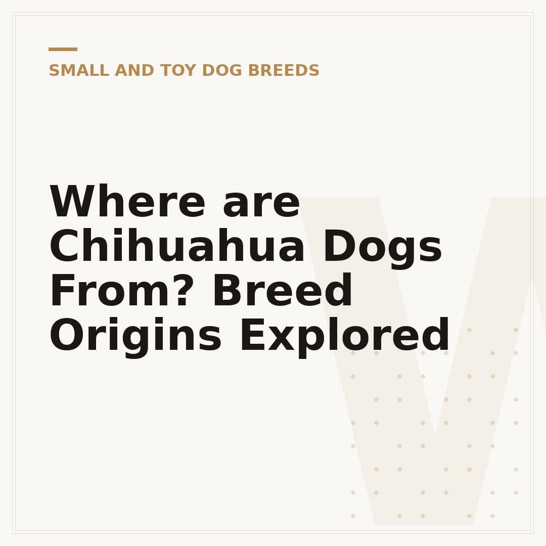 Where are Chihuahua Dogs From? Breed Origins Explored