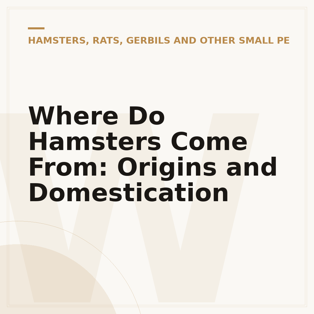 Where Do Hamsters Come From: Origins and Domestication
