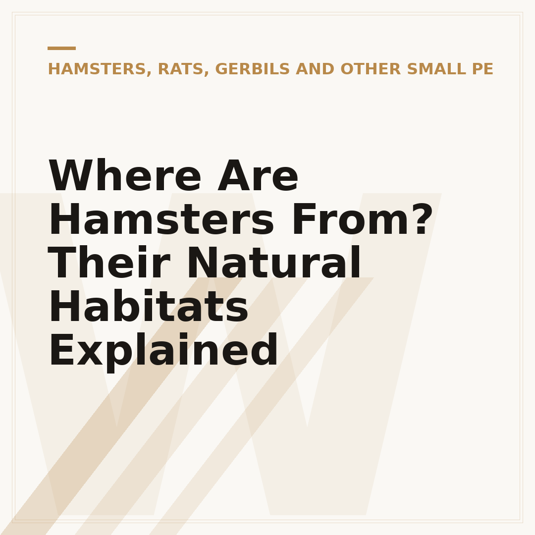 Where Are Hamsters From? Their Natural Habitats Explained