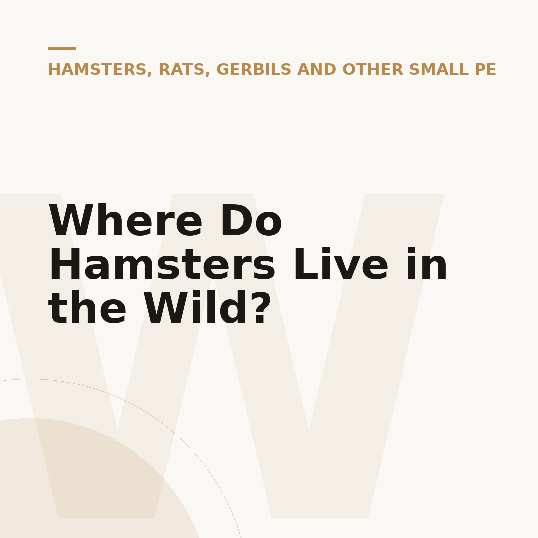Where Do Hamsters Live in the Wild?