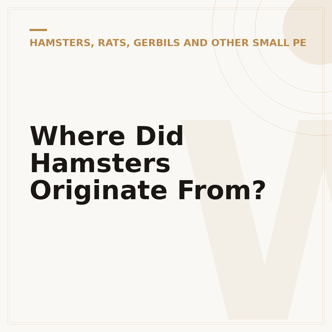 Where Did Hamsters Originate From?