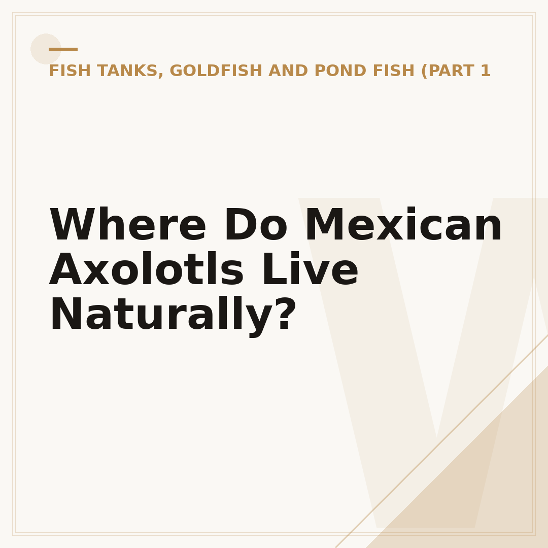 Where Do Mexican Axolotls Live Naturally?