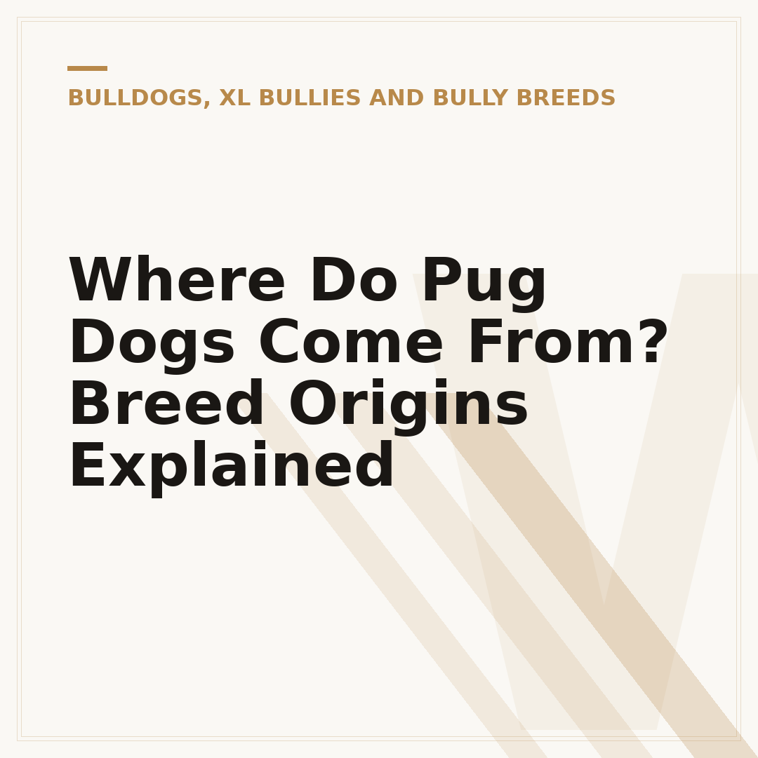 Where Do Pug Dogs Come From? Breed Origins Explained